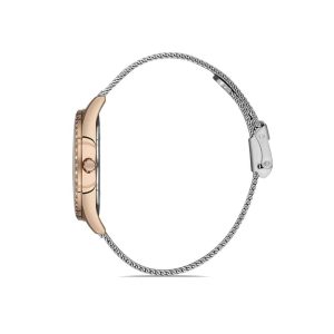 ساعت مچی زنانه دنیل کلین DK.1.12924-5