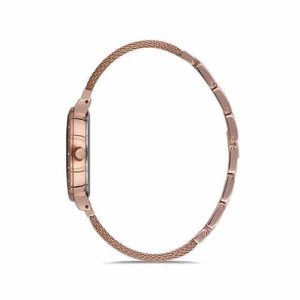 ساعت مچی زنانه دنیل کلین DK.1.12549-1