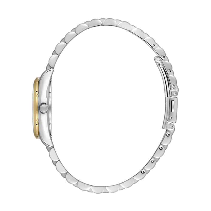 ساعت مچی زنانه بیگوتی BG.1.10608-5