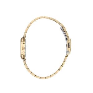 ساعت مچی زنانه دنیل کلین DK.1.13788-2