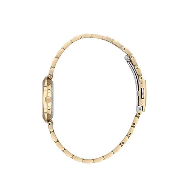 ساعت مچی زنانه دنیل کلین DK.1.13788-2