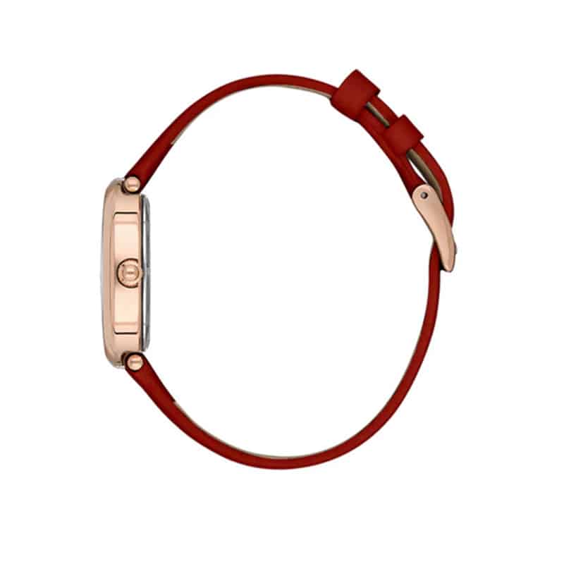 ساعت مچی زنانه دنیل کلین DK.1.13872-6